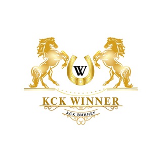 Telegram profile photo for ksk_winner