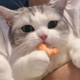 Telegram profile photo for ви???