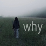 Telegram profile photo for Why¿