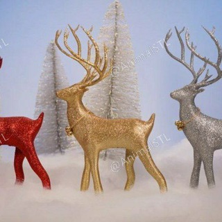 Telegram profile photo for Animals 3D print Group