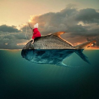 Telegram profile photo for времени нет 🦄 🍣