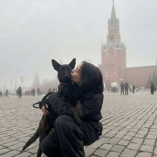 Telegram profile photo for Летучий голландец