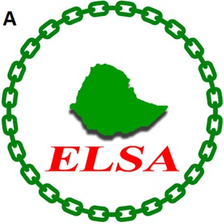 Telegram profile photo for Ethiopian Logistics & Supply Chain Management Professionals Association