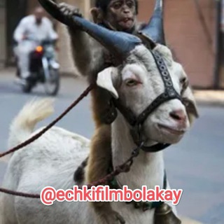 Telegram profile photo for ФИЛЬМ "БОЛАКАЙ" ЭЧКИ ГАЛЕРЕЯСИ