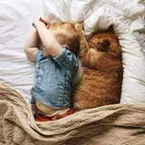 Telegram profile photo for حمزة أبو زهرة