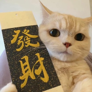 Telegram profile photo for 梵音收出粉通知群