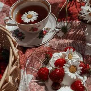 Telegram profile photo for 𝒔𝒕𝒓𝒂𝒘𝒃𝒆𝒓𝒓𝒚 𝒕𝒆𝒂🍓