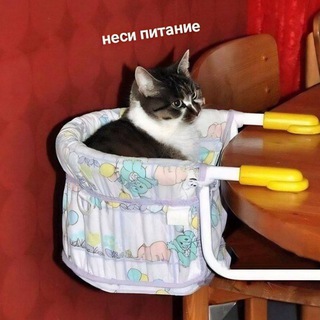 Telegram profile photo for варево из радикальных хиппи