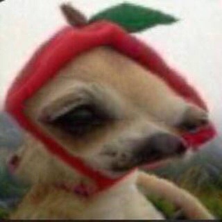 Telegram profile photo for ленусик татусик
