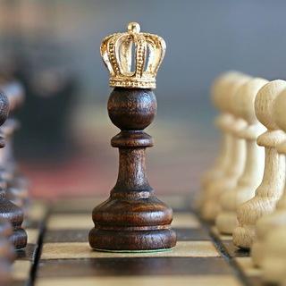 Telegram profile photo for Daily Chess Puzzle