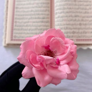 Telegram profile photo for الْـمَــوَدَّه