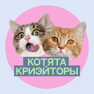 Telegram profile photo for котята из криэйт-отдела 📂 reels, capcut, сторис