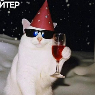 Telegram profile photo for IT мемы