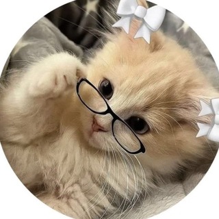 Telegram profile photo for VENERKA ORG