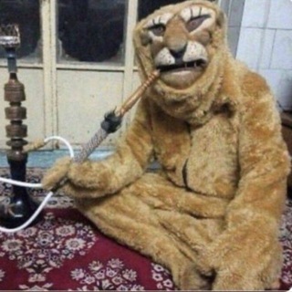 Telegram profile photo for funny