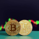 Telegram profile photo for crypto signals coins
