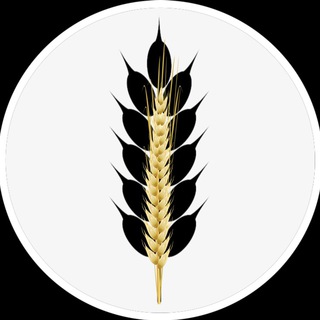 Telegram profile photo for ДОЛ «Колос»
