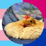 Telegram profile photo for (눈‸눈)