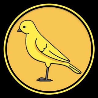Telegram profile photo for Bird INJ Portal