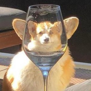 Telegram profile photo for МЕМОДЕЛЬНЯ