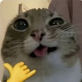 Telegram profile photo for • Б.З.С.Т. •