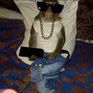Telegram profile photo for Магазин на диване