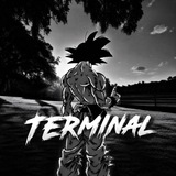Telegram profile photo for terminal🔜