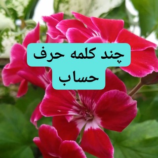 Telegram profile photo for چند کلمه حرف حساب