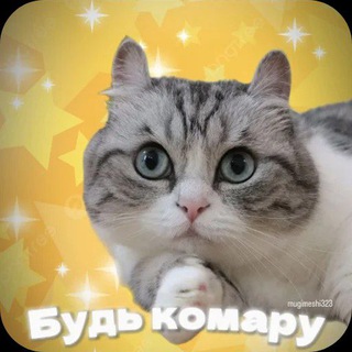 Telegram profile photo for будь Комару