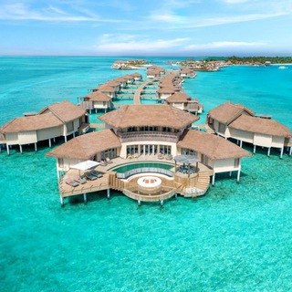 Telegram profile photo for Maldives Jobs