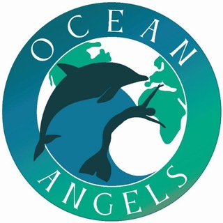 Telegram profile photo for НА ДЕЛЬФИНЬЕЙ ВОЛНЕ