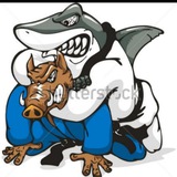 Telegram profile photo for Единоборства