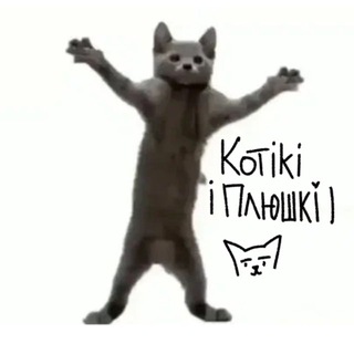 Telegram profile photo for котікі і плюшкі