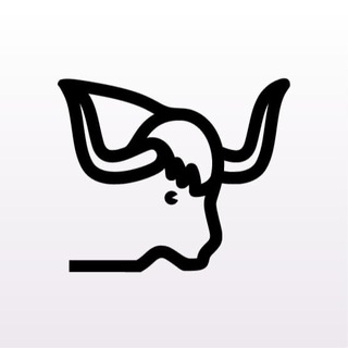 Telegram profile photo for Yak Visioncare-More than Meets the Eye