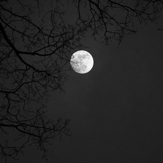 Telegram profile photo for MoonWork Работа в интернете