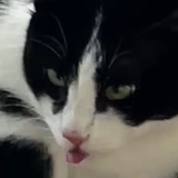 Telegram profile photo for детский садик