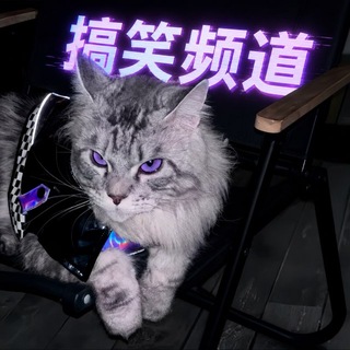 Telegram profile photo for 小众频道 搞笑视频/图片