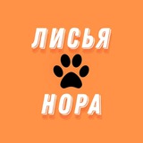 Telegram profile photo for 𝗙𝙊𝗫𝗛𝙊𝗟𝙀 | канал |