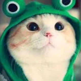 Telegram group profile photo for KM TÂN THỦ 58K