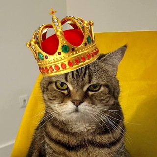 Telegram profile photo for Меховая Картошечка