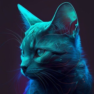 Telegram profile photo for KitRit Channel •