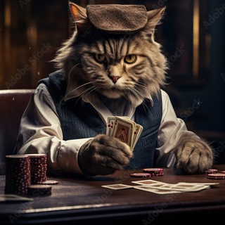 Telegram profile photo for Cat company