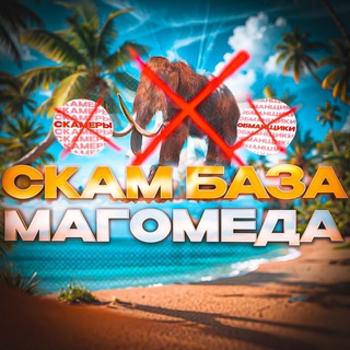 Telegram profile photo for СКАМ БАЗА МАГОМЕДА