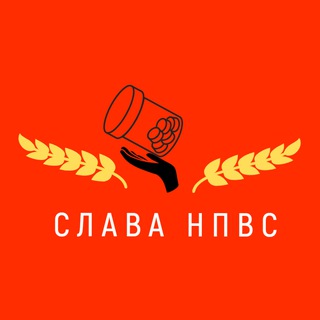 Telegram profile photo for Слава НПВС