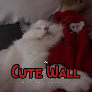 Telegram profile photo for •Cᴜᴛᴇ Wᴀʟʟ-