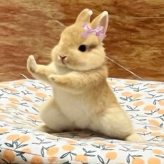 Telegram profile photo for 羞羞酱福利