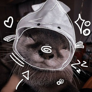 Telegram profile photo for 茶与水獭 | Чай и выдра