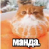 Telegram profile photo for квору прайс