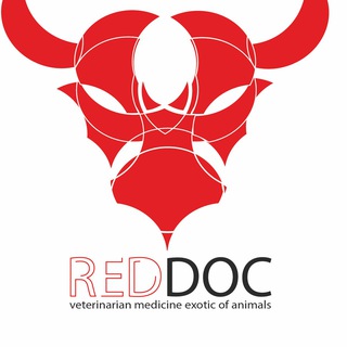 Telegram profile photo for REDDOC