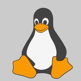 Telegram profile photo for IOS203 - اختبار